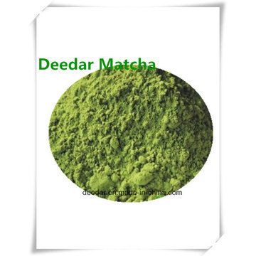 Matcha Powder